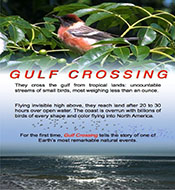 Gulf Crossing