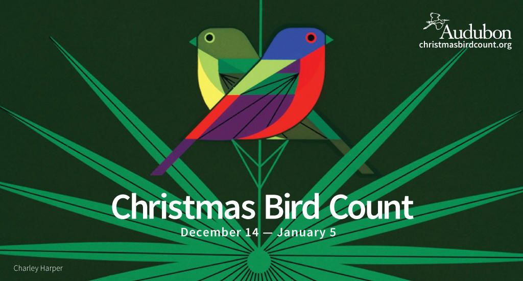 Christmas Bird Count