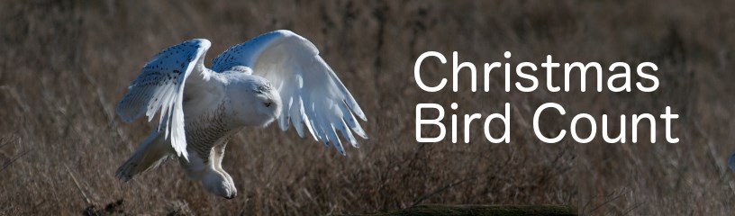 FCAS Christmas Bird Count 2018